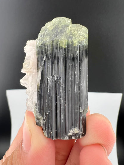 Green Cap Tourmaline Crystal with Albite from Pakistan - 27 Grams
