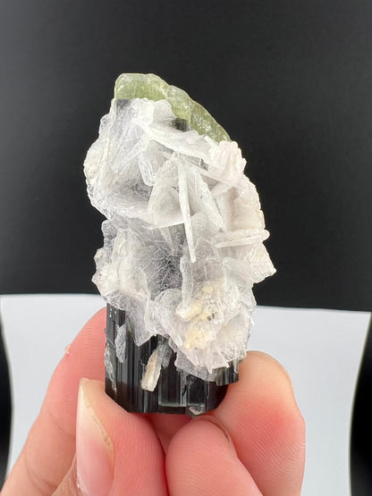 Green Cap Tourmaline Crystal with Albite from Pakistan - 27 Grams