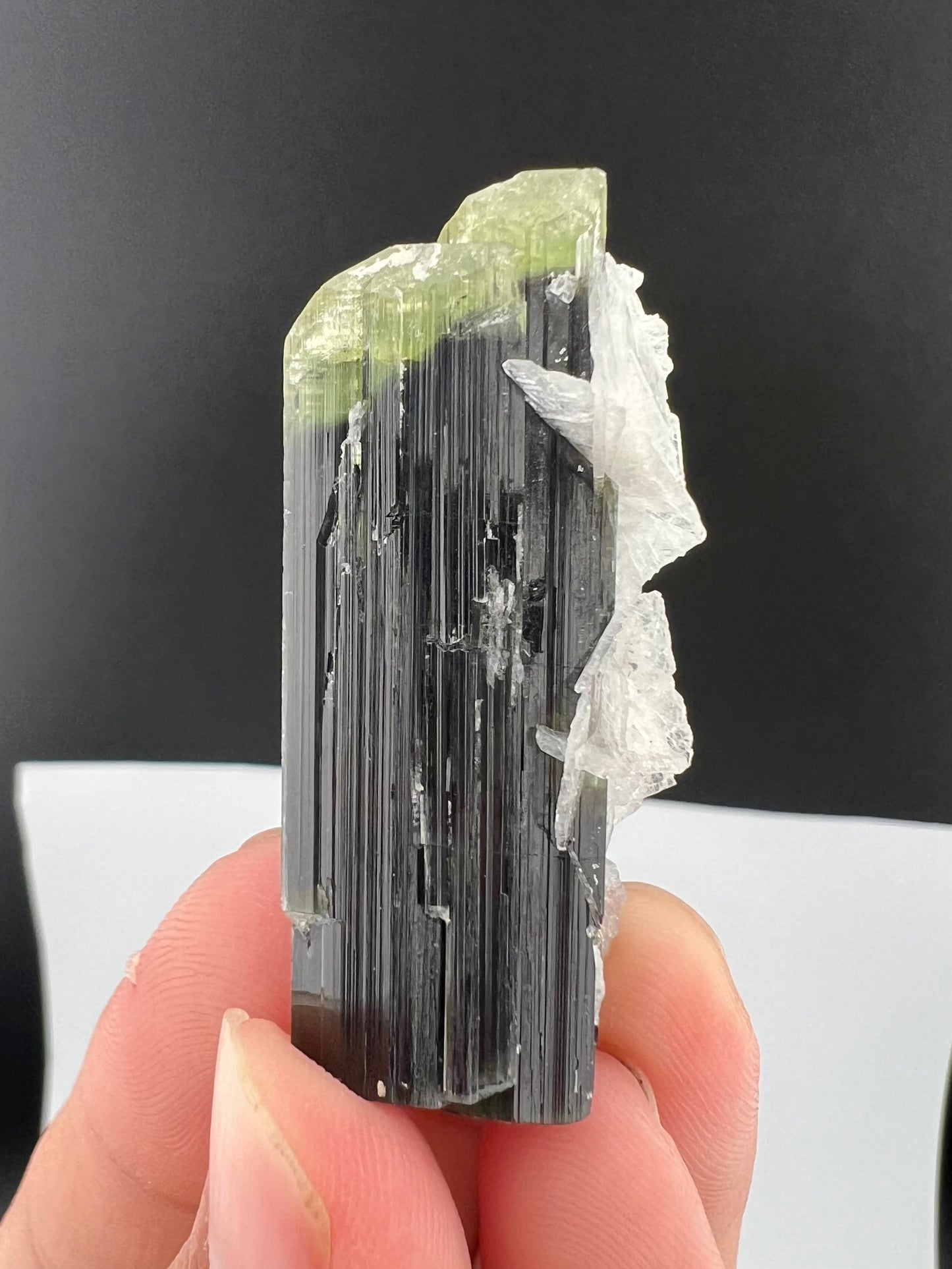 Green Cap Tourmaline Crystal with Albite from Pakistan - 27 Grams
