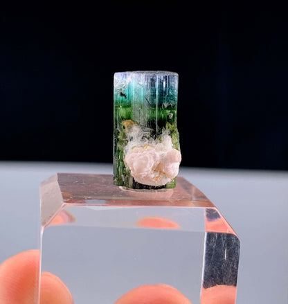 Tricolor Tourmaline Crystal From Pakistan - 13.35 Carats