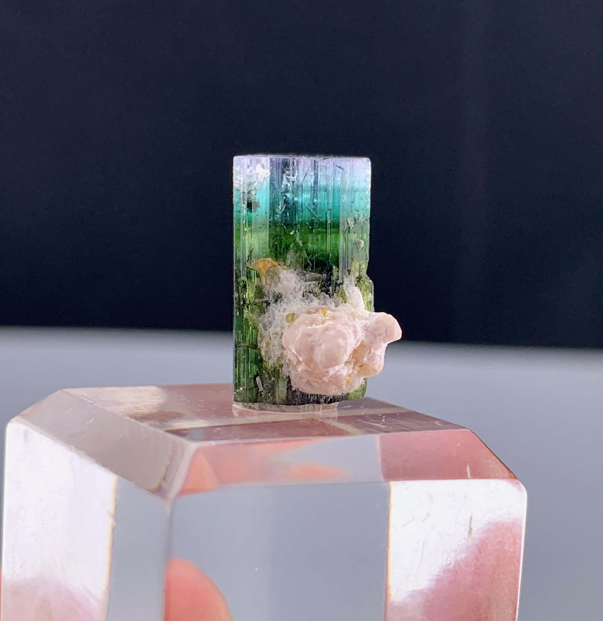 Tricolor Tourmaline Crystal From Pakistan - 13.35 Carats