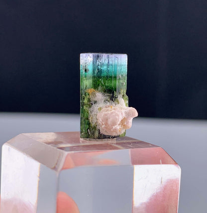 Tricolor Tourmaline Crystal From Pakistan - 13.35 Carats