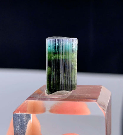 Tricolor Tourmaline Crystal From Pakistan - 13.35 Carats