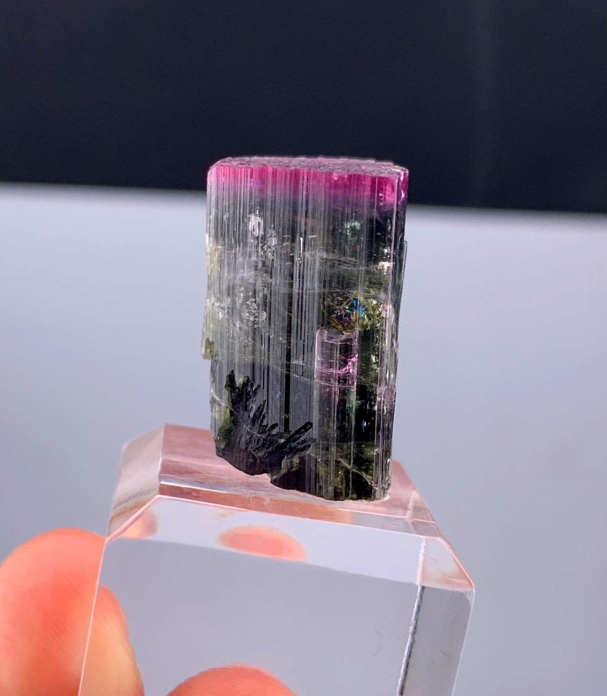 Bi-color Tourmaline Crystal From Afghanistan - 9 Grams