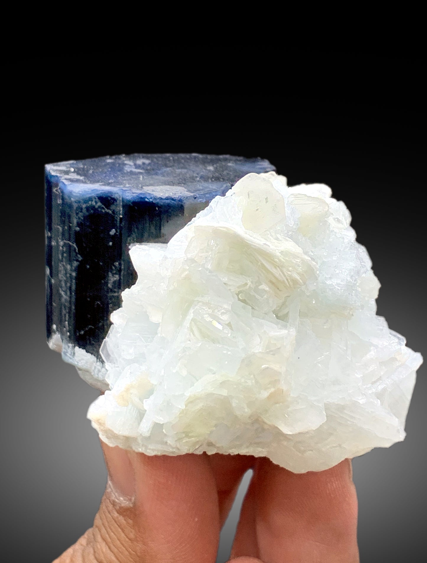 Blue Cap Tourmaline with Cleavelandite Albite from Paprok Afghanistan - 167 gram