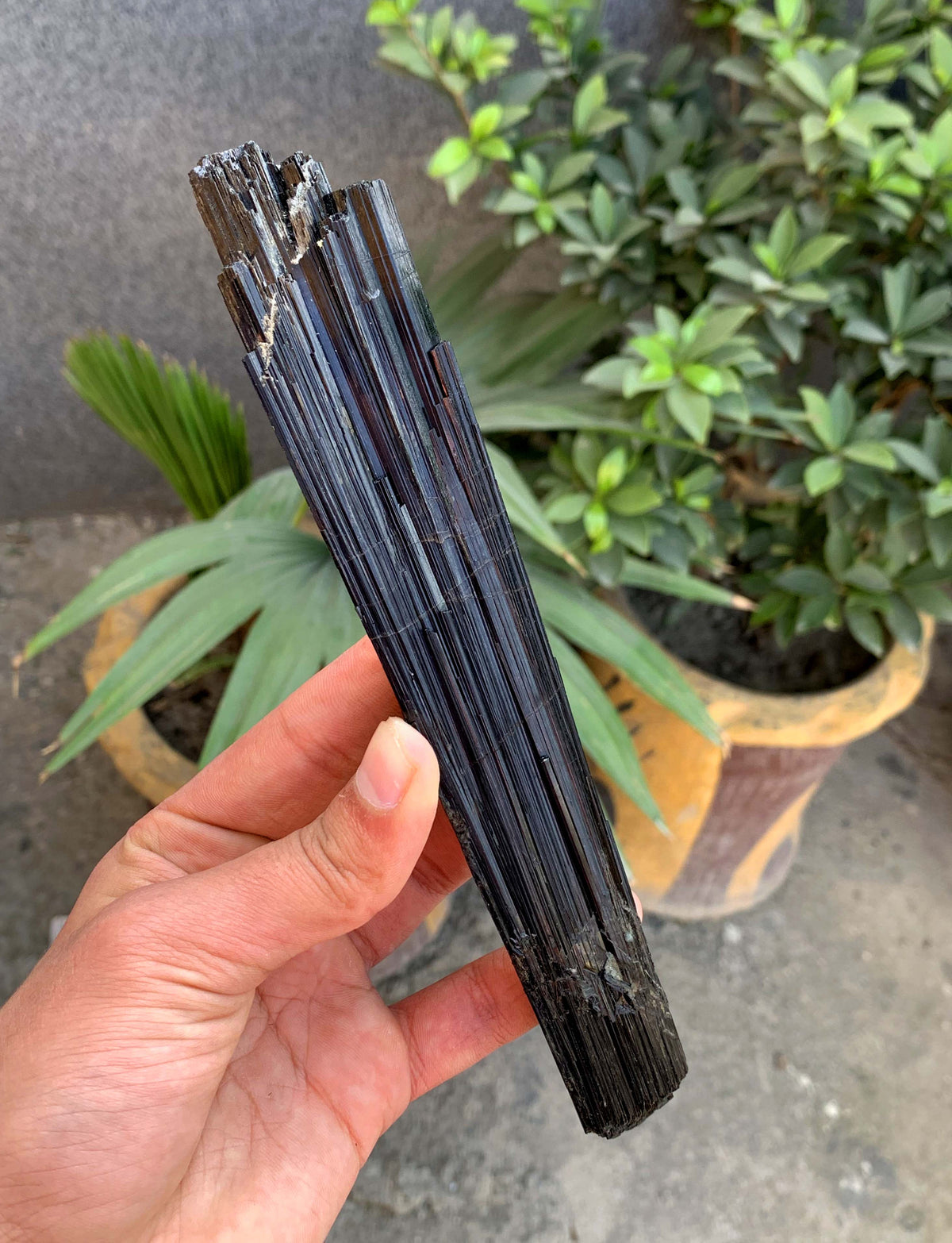 Museum Grade Schorl Black Tourmaline Crystal From Afghanistan - 193 Grams
