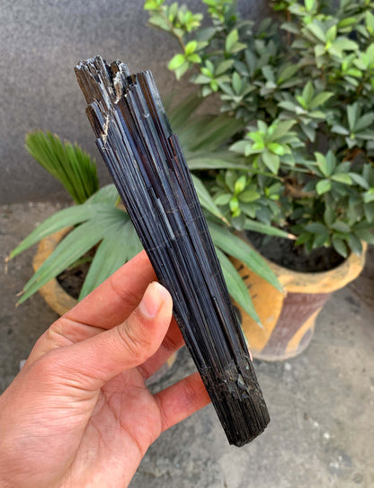 Museum Grade Schorl Black Tourmaline Crystal From Afghanistan - 193 Grams