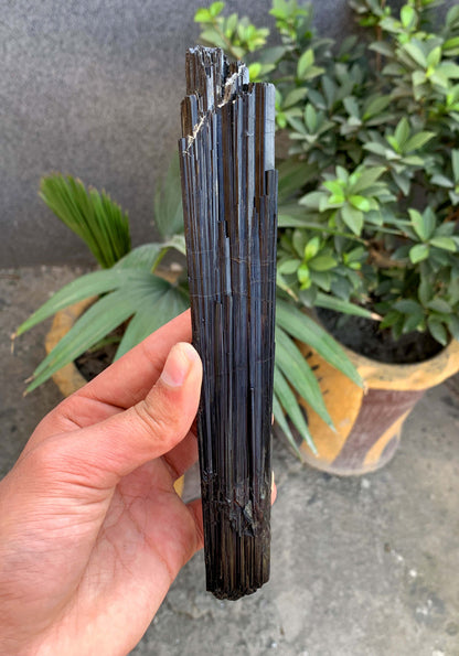 Museum Grade Schorl Black Tourmaline Crystal From Afghanistan - 193 Grams