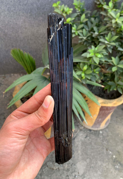 Museum Grade Schorl Black Tourmaline Crystal From Afghanistan - 193 Grams