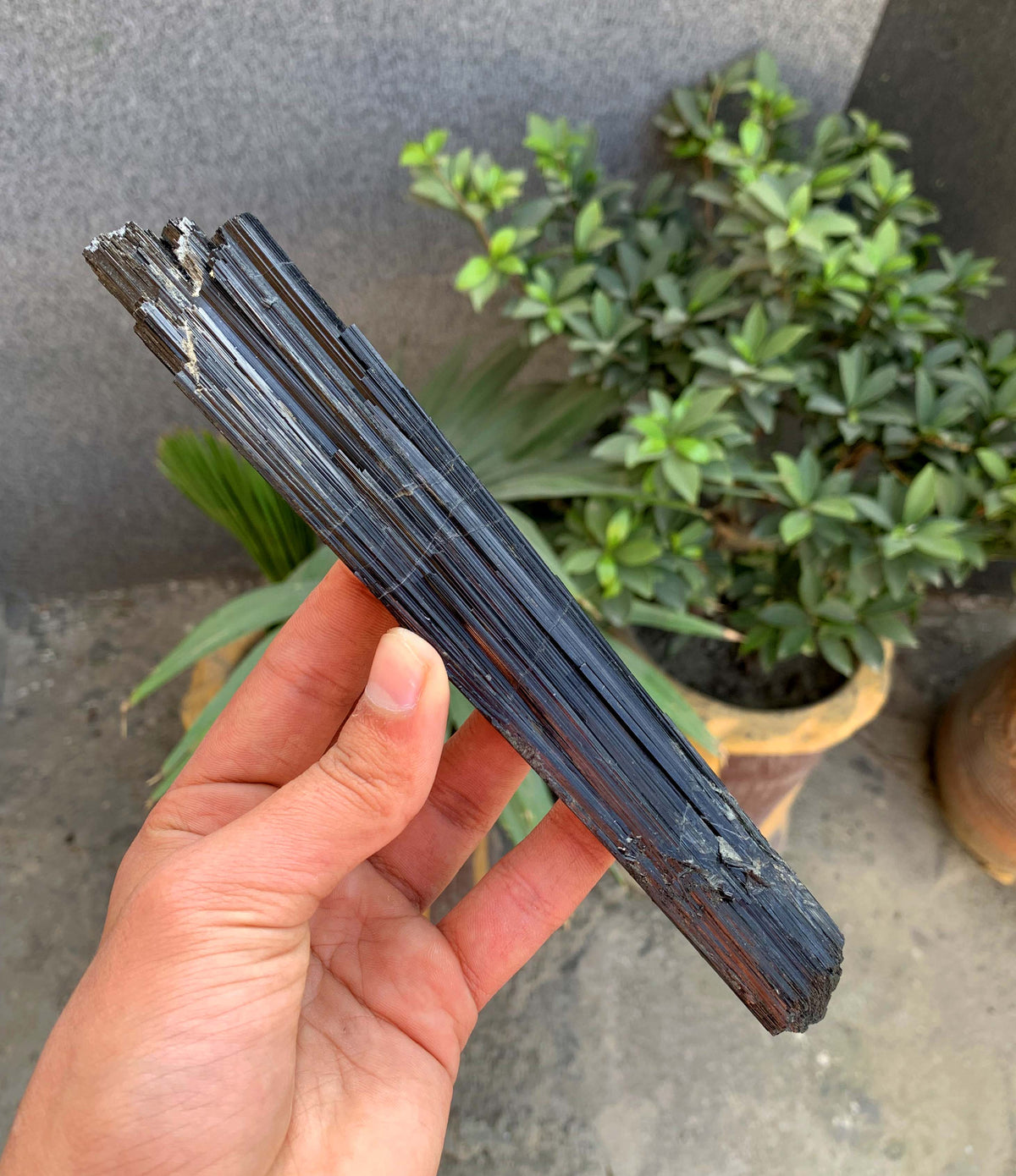 Museum Grade Schorl Black Tourmaline Crystal From Afghanistan - 193 Grams