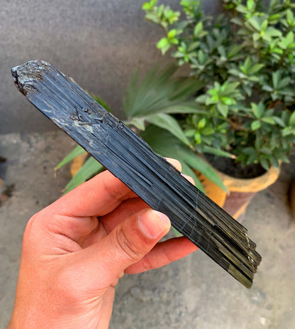 Museum Grade Schorl Black Tourmaline Crystal From Afghanistan - 193 Grams