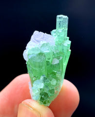 Green Tourmaline Cluster with Kunzite from Afghanistan - 17 gram