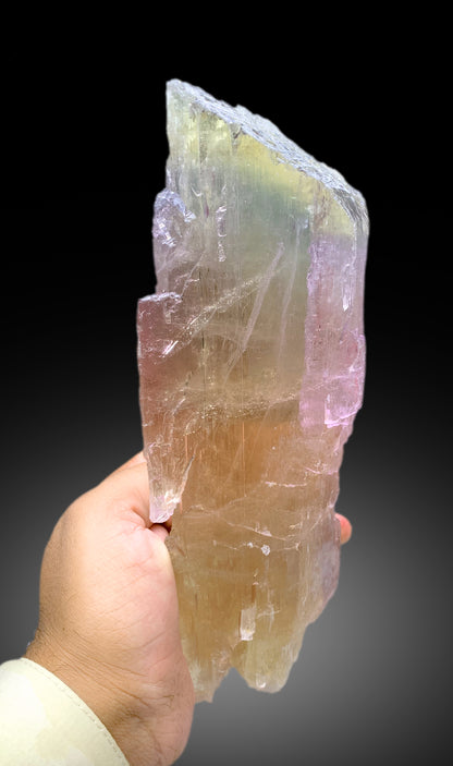 Natural Tricolor Kunzite Crystal from Nuristan Afghanistan - 1625 gram