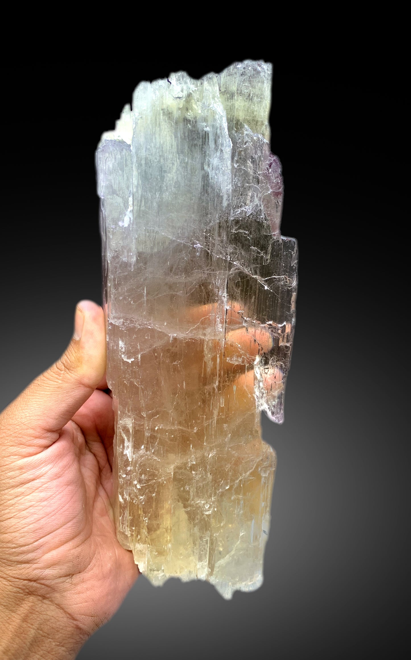 Natural Tricolor Kunzite Crystal from Nuristan Afghanistan - 1625 gram