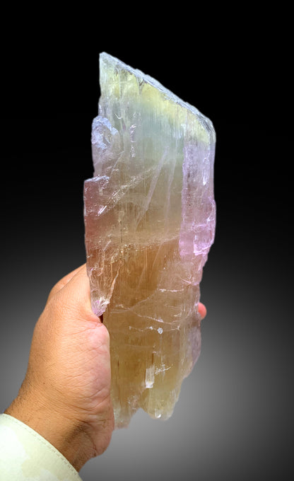 Natural Tricolor Kunzite Crystal from Nuristan Afghanistan - 1625 gram