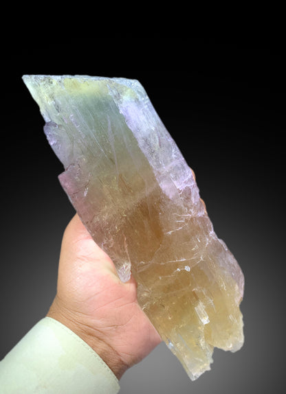 Natural Tricolor Kunzite Crystal from Nuristan Afghanistan - 1625 gram