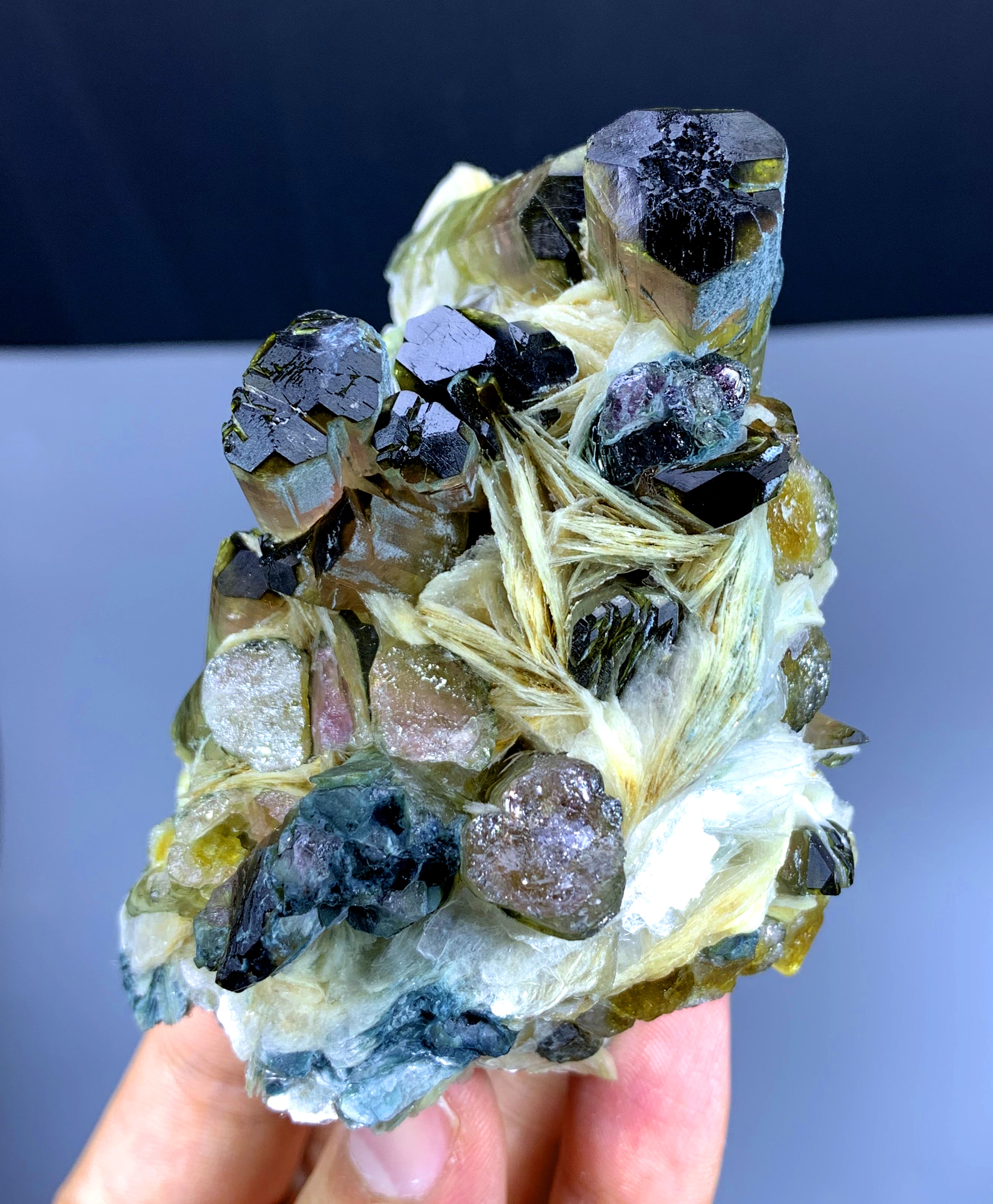 Bicolor Tourmaline Crystals on Albite from Afghanistan - 294 gram