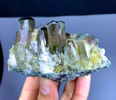 Bicolor Tourmaline Crystals on Albite from Afghanistan - 294 gram