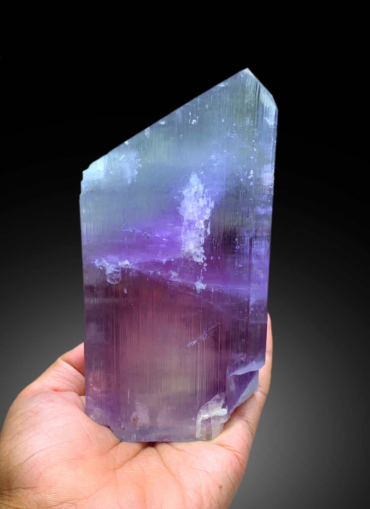 Top Grade Bicolor Spodumene Kunzite Crystal from Nuristan Afghanistan - 1445 gram