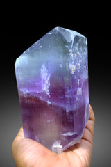 Top Grade Bicolor Spodumene Kunzite Crystal from Nuristan Afghanistan - 1445 gram