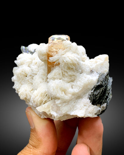 Rich Golden Color Topaz with Cleavelandite Albite and Schorl Black Tourmaline from Skardu Pakistan - 255 gram
