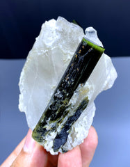 Green Cap Tourmaline Crystals on Quartz from Pakistan - 203 gram
