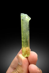 Transparent Yellow Color Heliodor with Schorl Tourmaline Inclusions, Heliodor Crystal from Skardu Pakistan - 20 gram