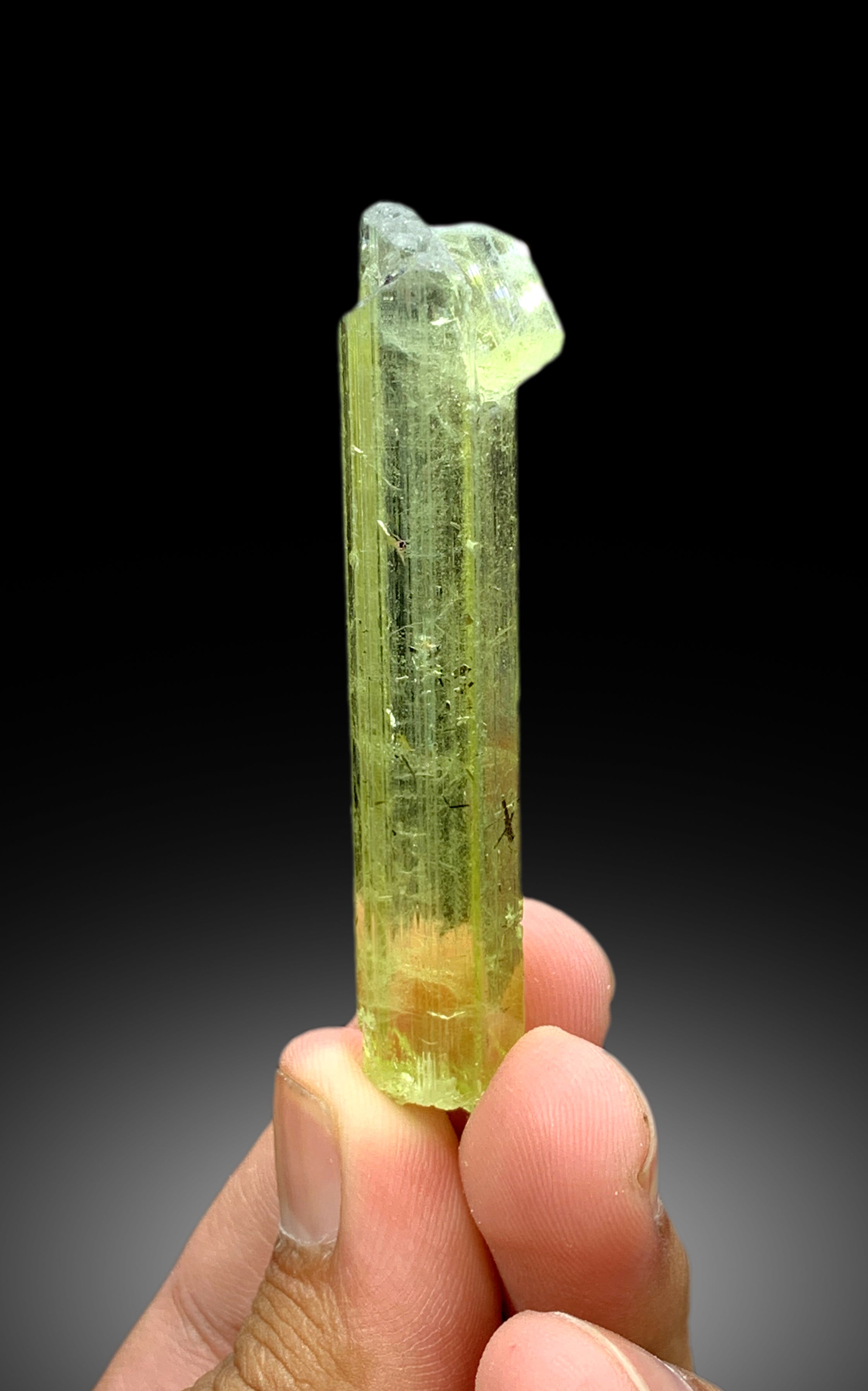 Transparent Yellow Color Heliodor with Schorl Tourmaline Inclusions, Heliodor Crystal from Skardu Pakistan - 20 gram