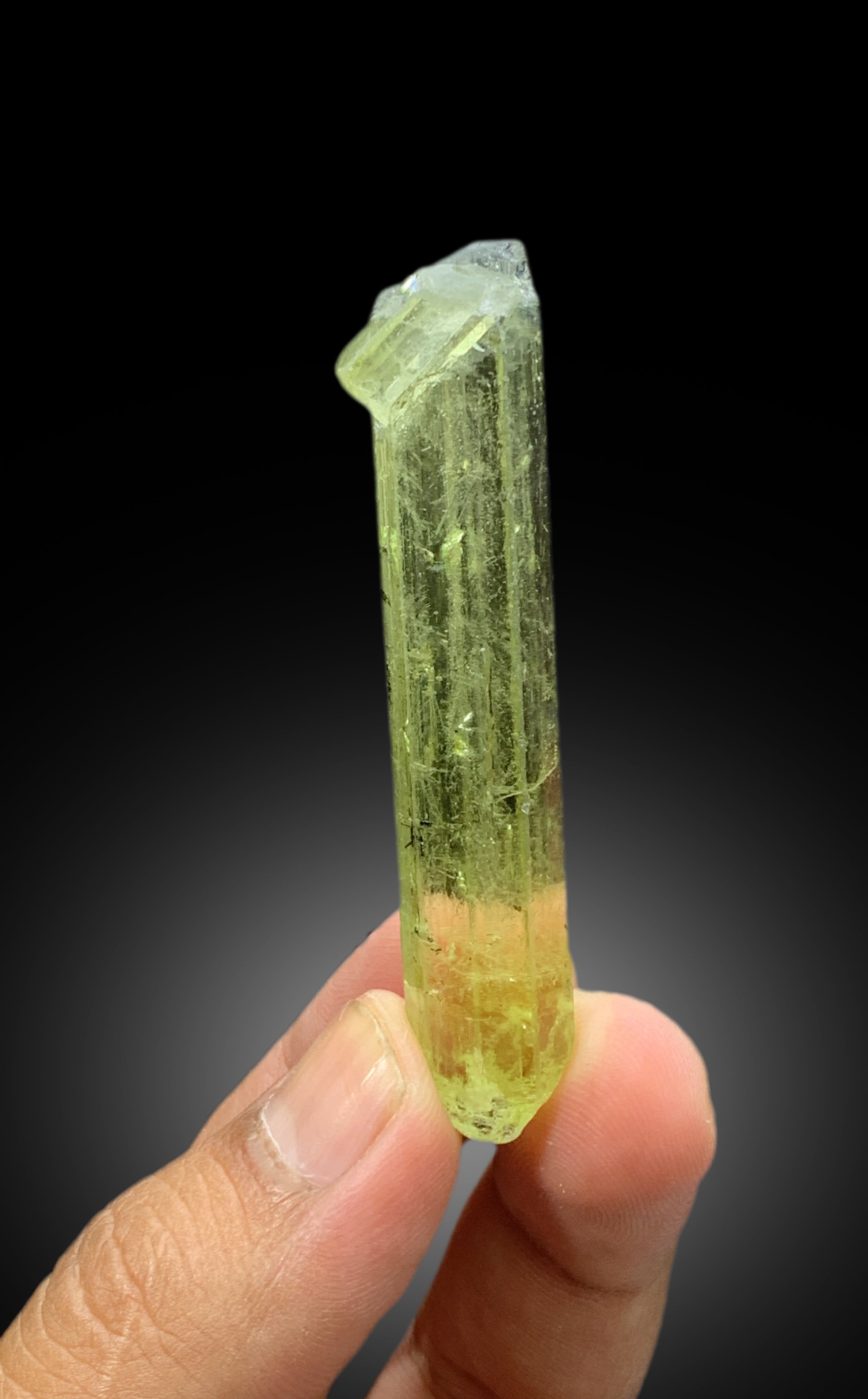 Transparent Yellow Color Heliodor with Schorl Tourmaline Inclusions, Heliodor Crystal from Skardu Pakistan - 20 gram