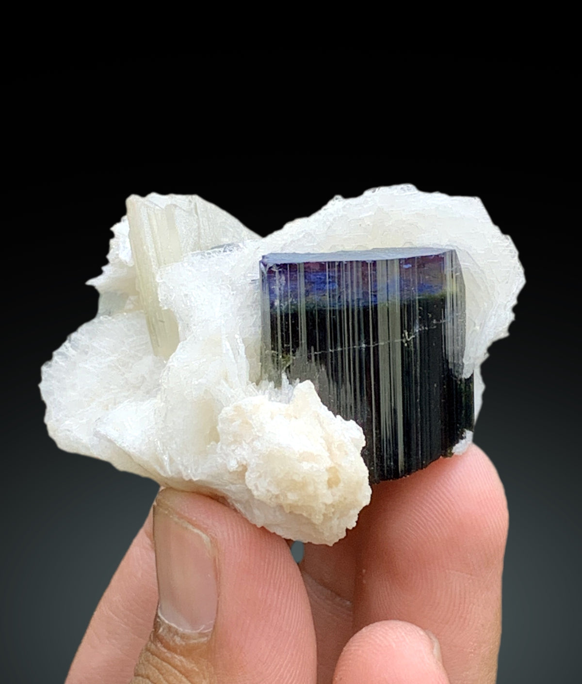 Natural Blue Cap Tourmaline Crystal with Cleavelandite Albite and Mica from Paprok Afghanistan - 74 gram