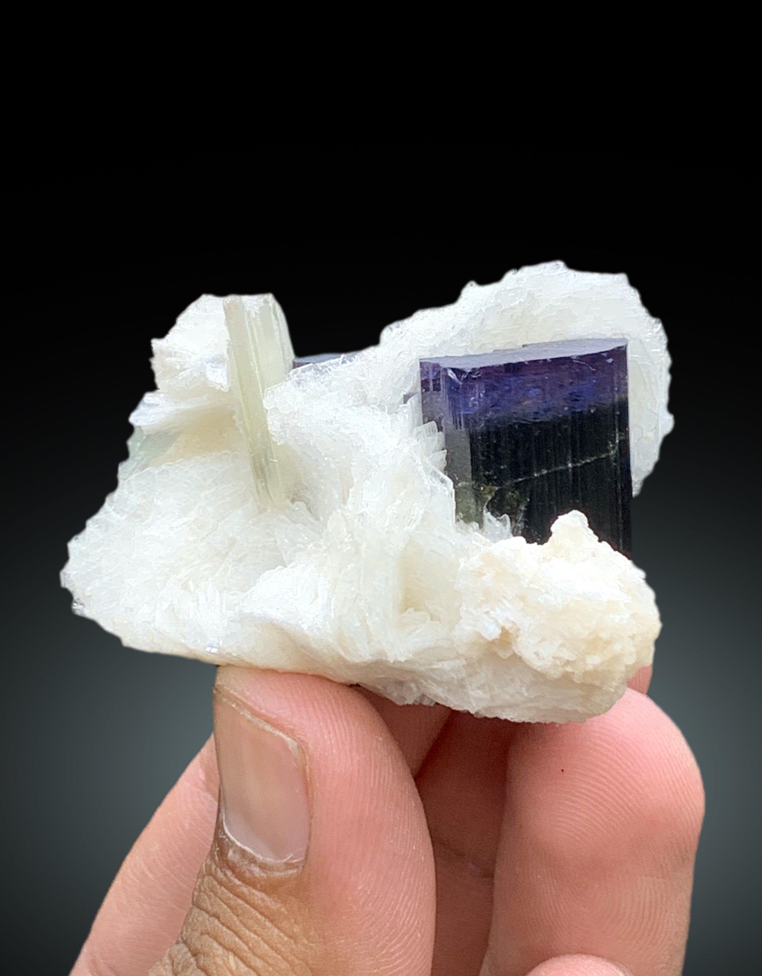 Natural Blue Cap Tourmaline Crystal with Cleavelandite Albite and Mica from Paprok Afghanistan - 74 gram