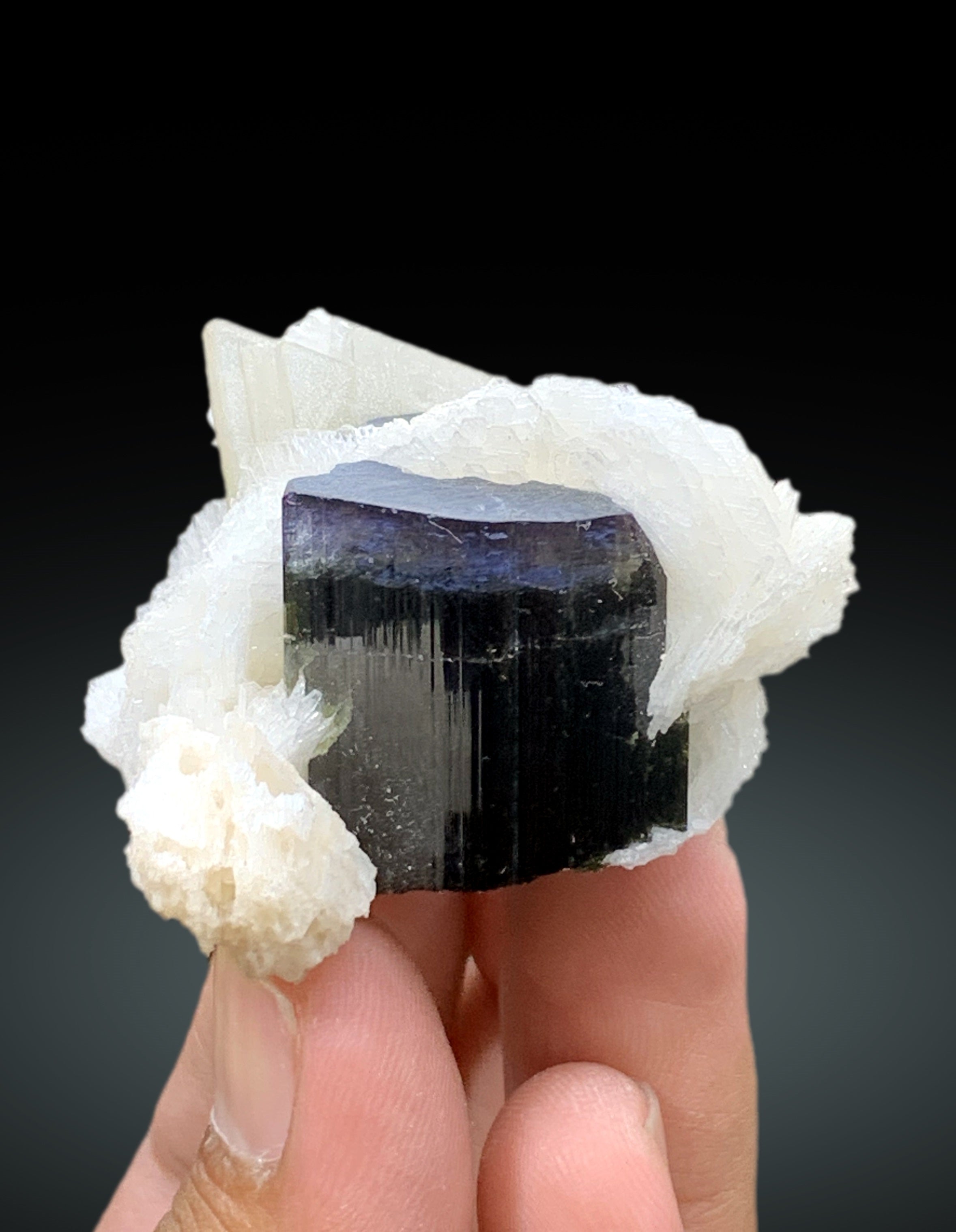 Natural Blue Cap Tourmaline Crystal with Cleavelandite Albite and Mica from Paprok Afghanistan - 74 gram