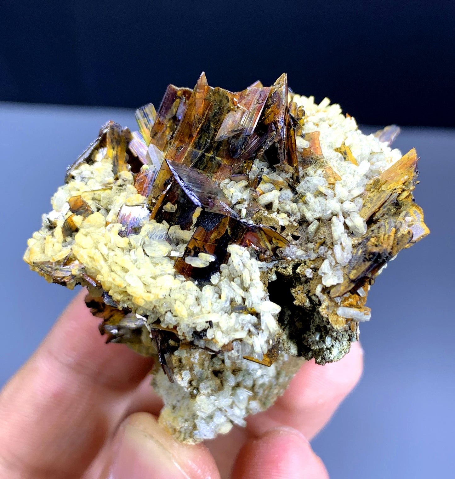 Rare Red Brookite Cluster on Matrix from Baluchistan Pakistan - 52 grams
