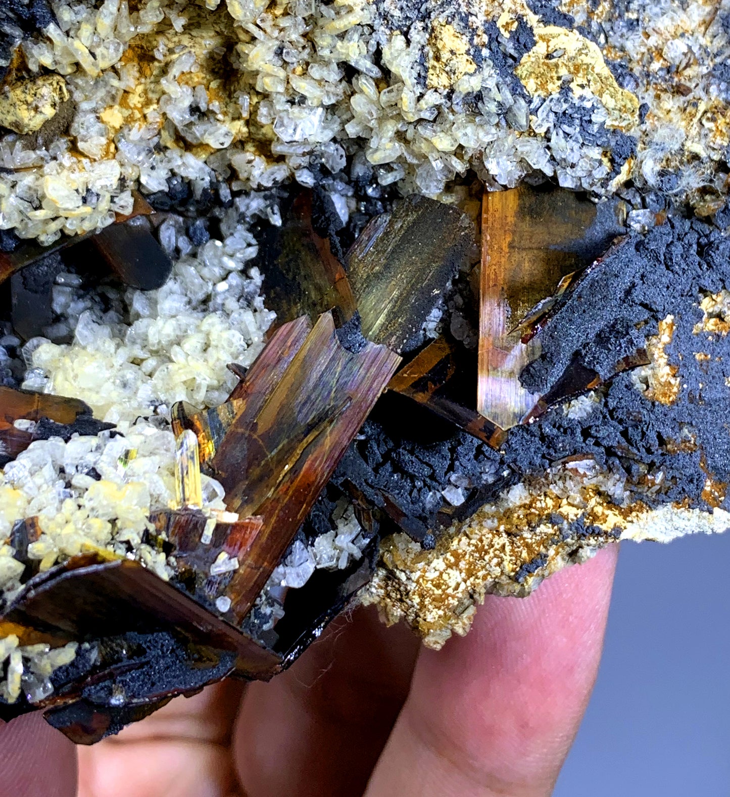 Rare Red Brookite Cluster on Matrix from Baluchistan Pakistan - 350 grams