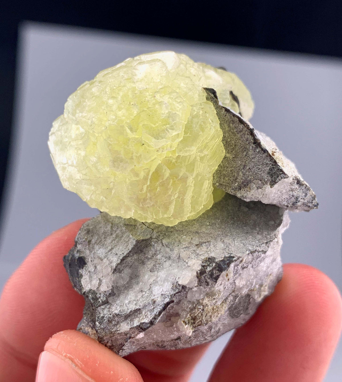 Botryoidal Yellow Bubble Brucite Crystal On Matrix From Pakistan - 32 Grams