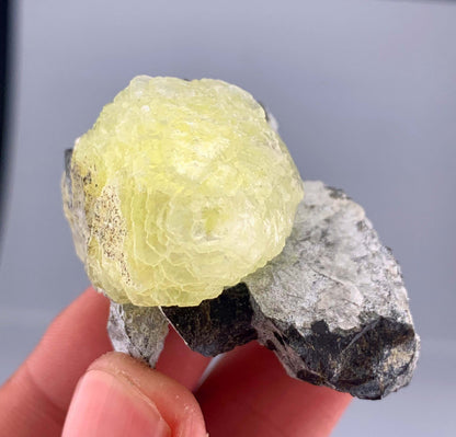 Botryoidal Yellow Bubble Brucite Crystal On Matrix From Pakistan - 32 Grams
