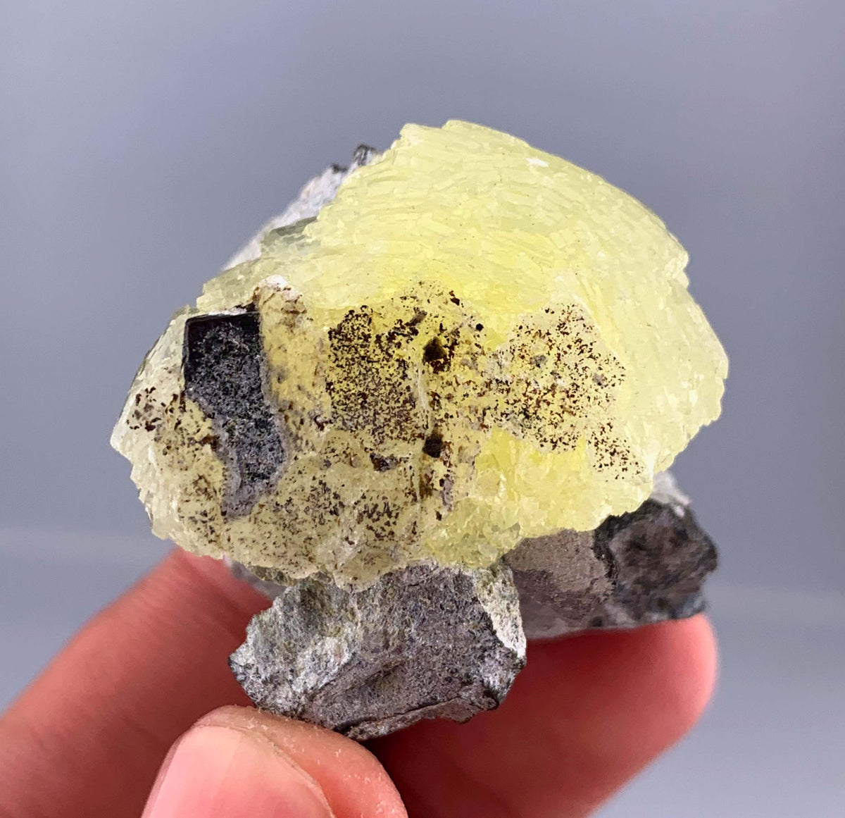 Botryoidal Yellow Bubble Brucite Crystal On Matrix From Pakistan - 32 Grams