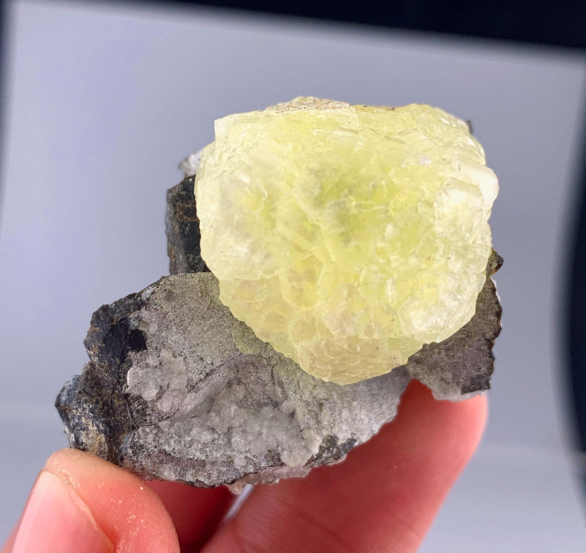Botryoidal Yellow Bubble Brucite Crystal On Matrix From Pakistan - 32 Grams