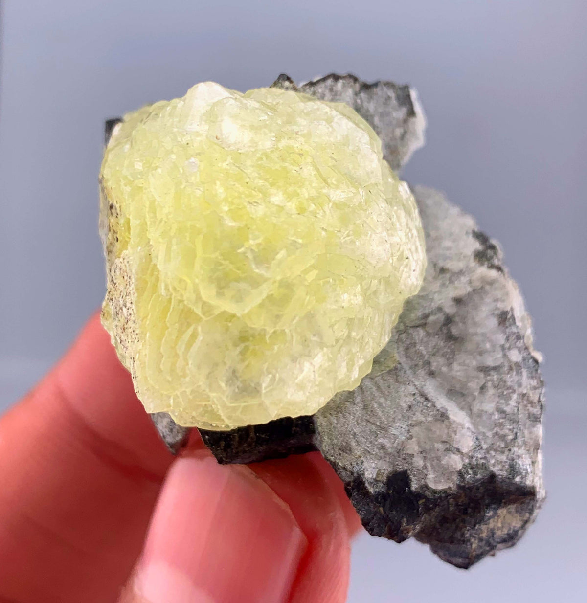 Botryoidal Yellow Bubble Brucite Crystal On Matrix From Pakistan - 32 Grams