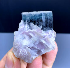 Blue Cap Tourmaline on Lepidolite from Paprok Afghanistan - 65 gram