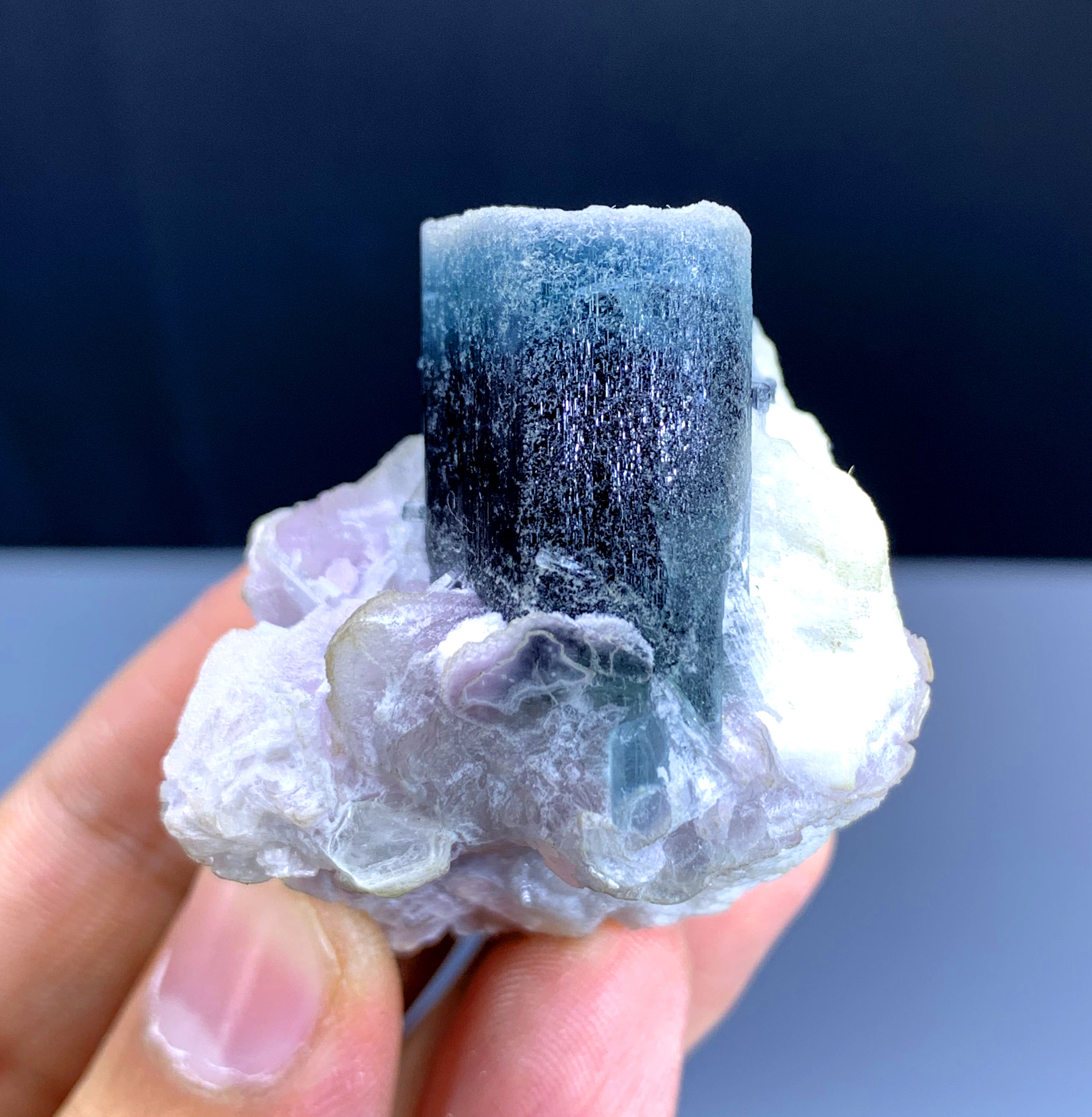 Blue Cap Tourmaline on Lepidolite from Paprok Afghanistan - 65 gram