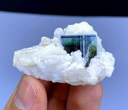 Blue Cap Tourmaline on Cleavelandite Albite from Pakistan - 28 gram