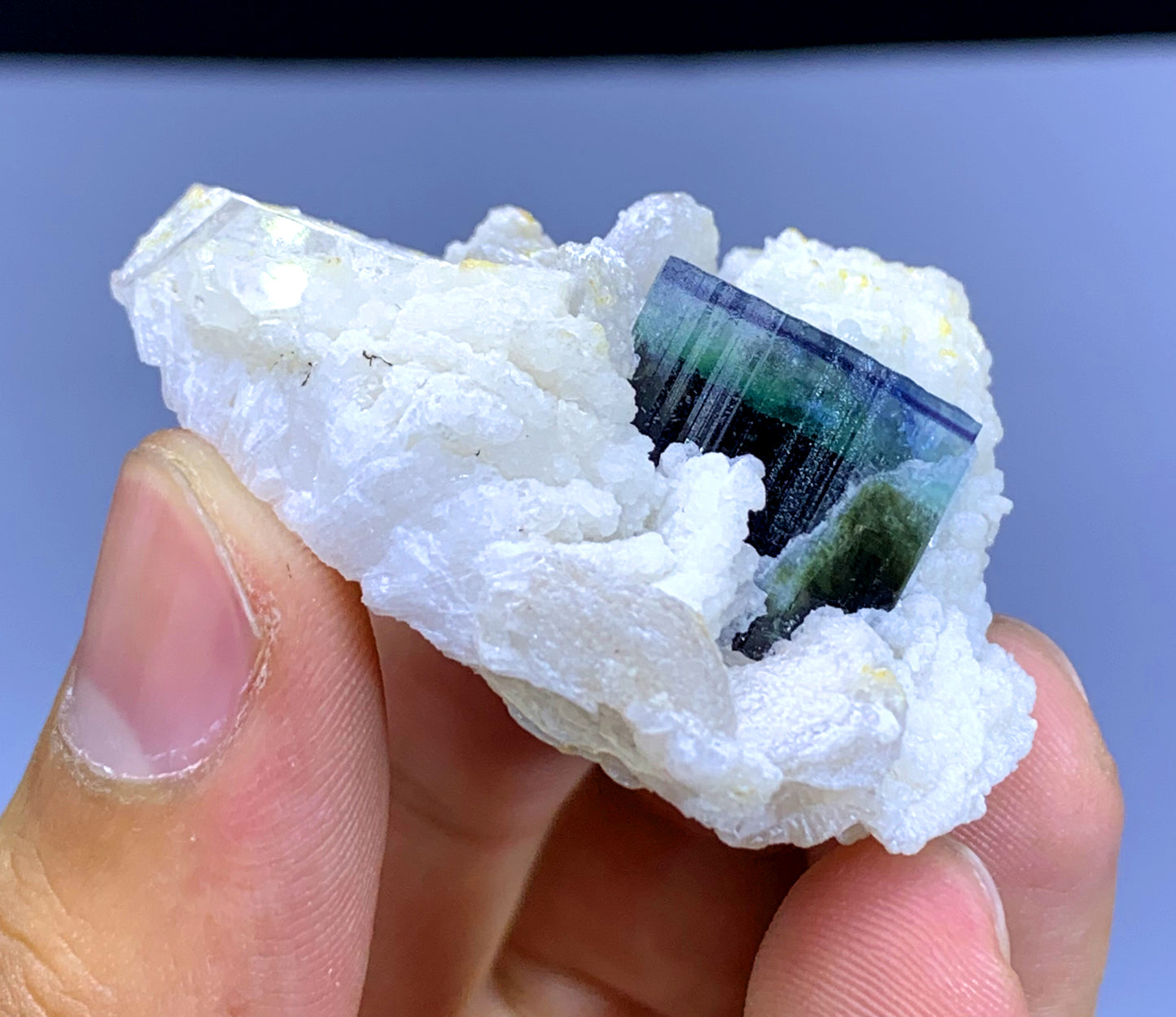 Blue Cap Tourmaline on Cleavelandite Albite from Pakistan - 28 gram