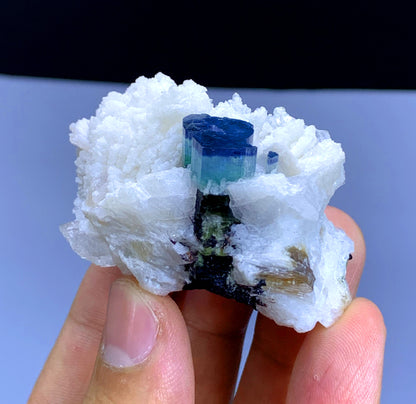Blue Cap Tourmaline on Cleavelandite Albite from Pakistan - 66 gram