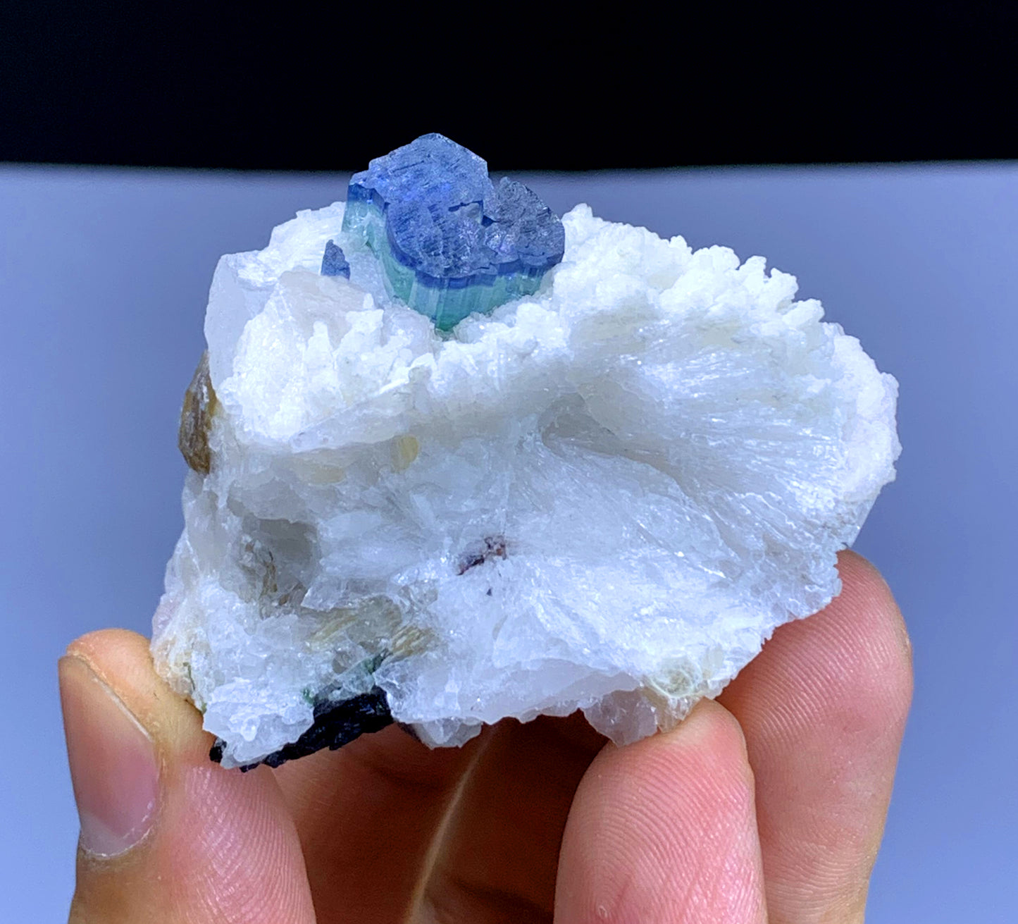 Blue Cap Tourmaline on Cleavelandite Albite from Pakistan - 66 gram