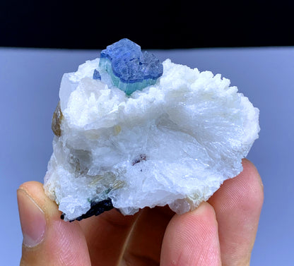 Blue Cap Tourmaline on Cleavelandite Albite from Pakistan - 66 gram