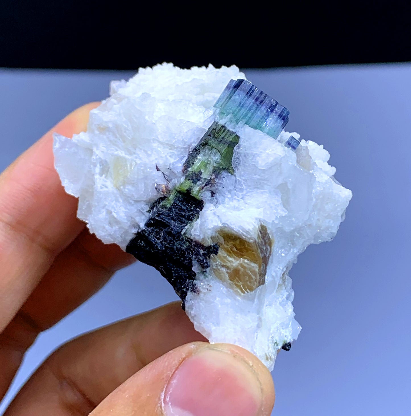 Blue Cap Tourmaline on Cleavelandite Albite from Pakistan - 66 gram