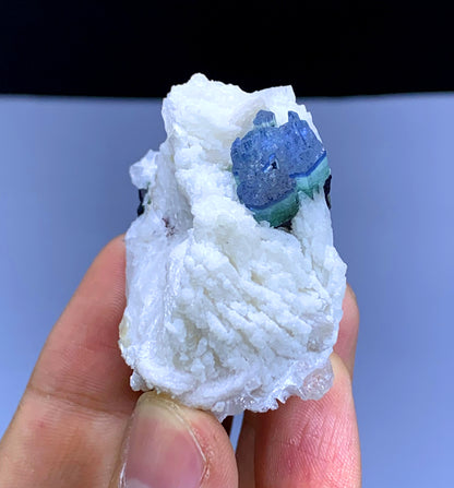 Blue Cap Tourmaline on Cleavelandite Albite from Pakistan - 66 gram