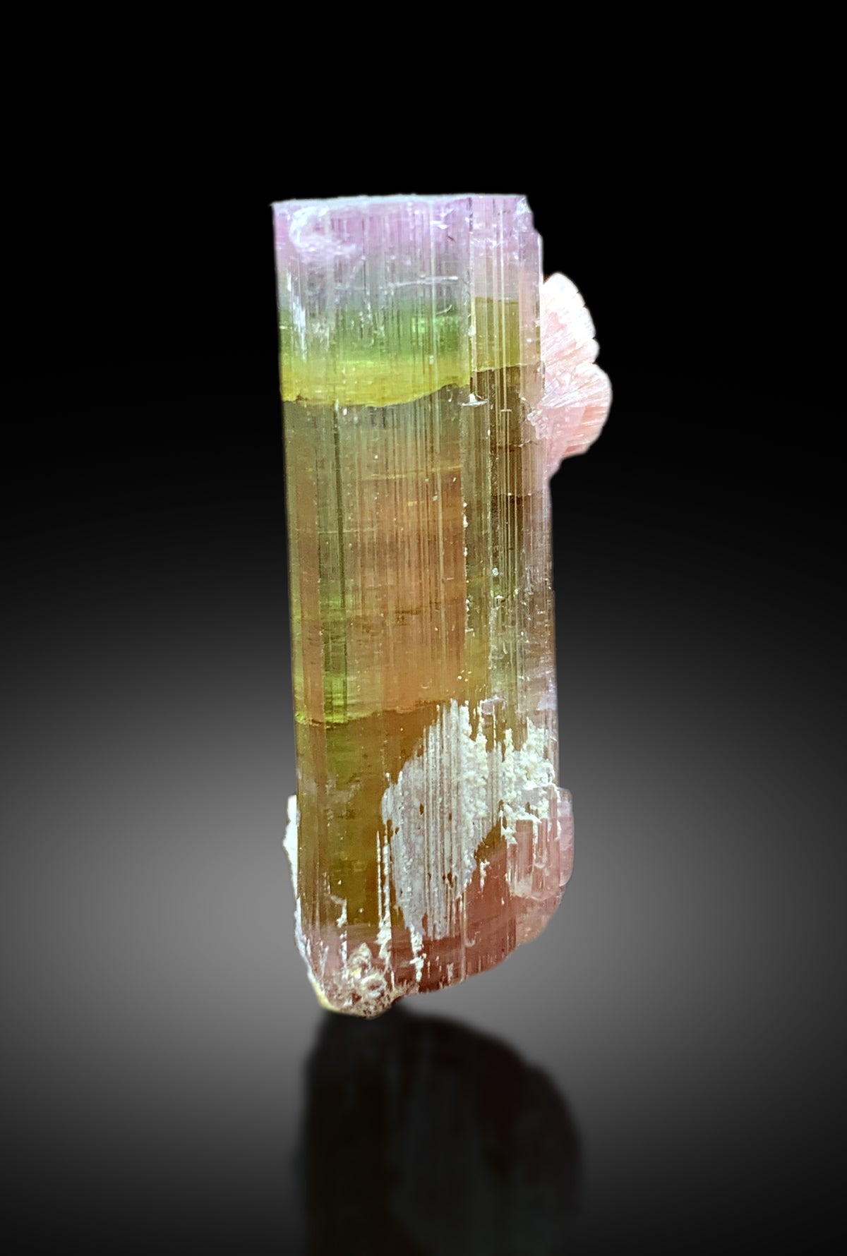 Natural Tricolor Tourmaline Crystal from Paprok Afghanistan - 54.45CT