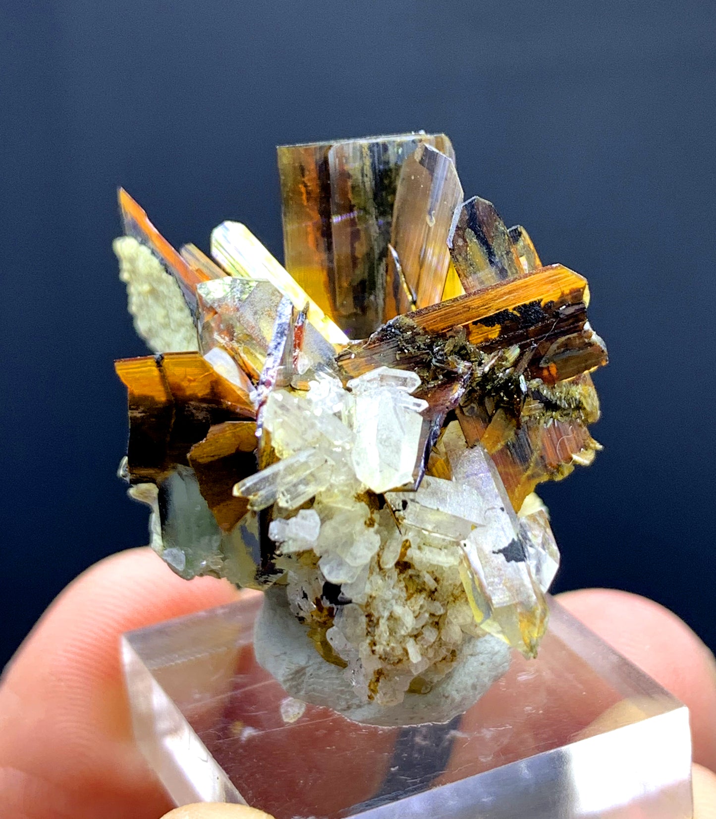 Rare Red Brookite Cluster with Quartz from Baluchistan Pakistan - 50.85 carats